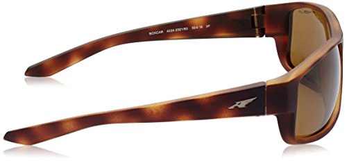 Arnette Boxcar gafas de sol, Fuzzy Havana, 59 para Hombre