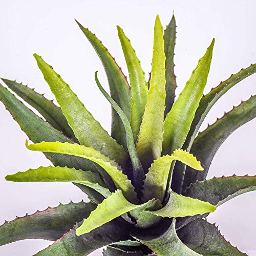 artplants.de Decorativo Agave con 22 Hojas, Verde, en Vara de Ajuste, 30cm - Planta Artificial - Suculenta Decorativa