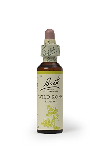 Bach Original Esencia Floral, Rosa silvestre - 20 ml