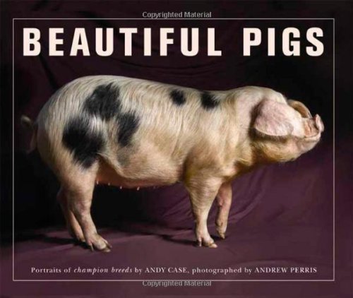 Beautiful Pigs: Potraits of Fine Breeds