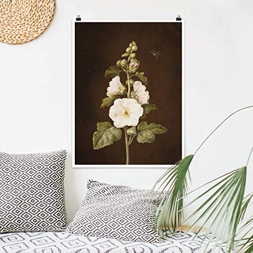 Bilderwelten Poster Barbara Regina Dietzsch Hollyhock Brillante 60x45cm