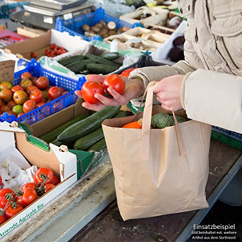 BIOZOYG Bolsas Grandes de Papel respetuosas del Medio Ambiente I Bolsas de Regalo Bolsas de Papel biodegradables, compostables I 250 x Bolsas de Papel marrón 22 x 10 x 28 cm