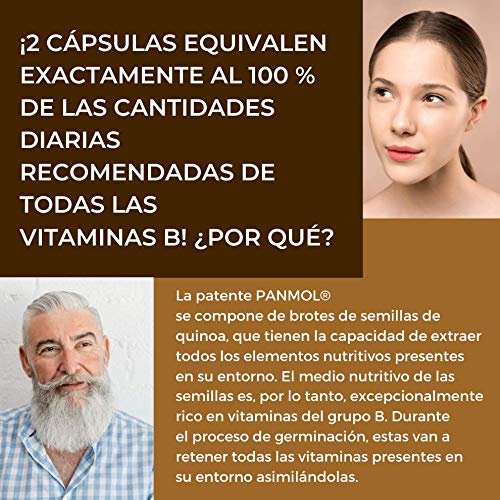 Cabello Piel | Complejo de vitaminas B 100% naturales de semillas de quinua germinadas Bio +Zinc (Biotina B1, B2, B3, B5, B6, B9, B12) | 100% VRN | Revitalizante, combate la caída del cabello