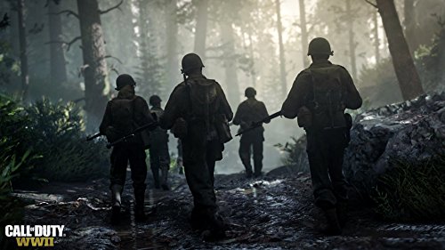 Call Of Duty WWII (La caja contiene un código de descarga)