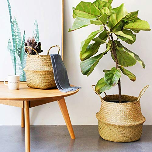 Canasta Tejida, Canasta de Almacenamiento de Algas Marinas Natural Canasta de Plantas Tejidas Maceta, Canastilla de Algas Marinas Tejidas Canastilla Plegable con Asa, Canasta de Mimbre Rattan par