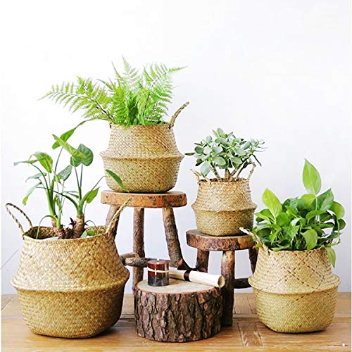 Canasta Tejida, Canasta de Almacenamiento de Algas Marinas Natural Canasta de Plantas Tejidas Maceta, Canastilla de Algas Marinas Tejidas Canastilla Plegable con Asa, Canasta de Mimbre Rattan par