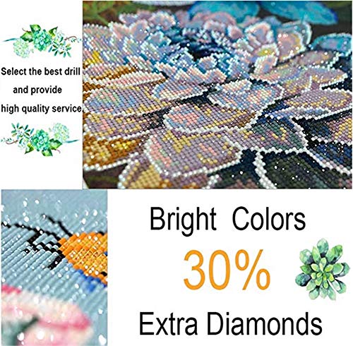 Diamond Pintura por Número Kit Nube colorida abstracta 30x60cm Completo DIY 5D Diamond Painting Full Drill Fotos Crystal Rhinestone Bordado Art Craft Regalo para la Salón Dormitorio Corredor Decor