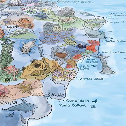 Dive Map by Awesome Maps - Mapa mundial ilustrado para los aficionados al buceo - reescribible - 97.5 x 56 cm