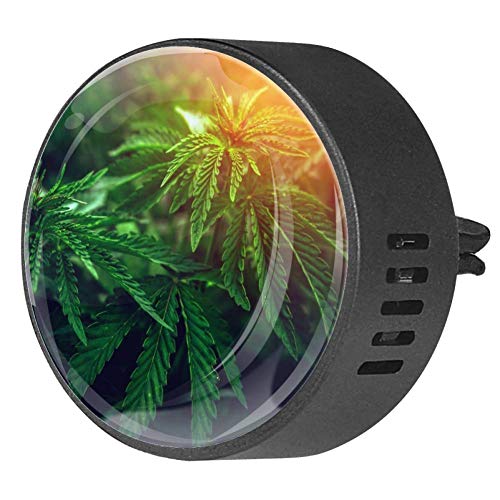 Eslifey - Difusor de marihuana para coche, diseño de hojas borrosas, cannabis, certificación saludable, ambientador de coche de EVA, paquete de 2, Frangipani