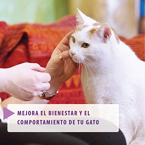 FELIWAY Classic - Antiestrés para Gatos - Marcaje con orina, Miedos, Cambios en el Entorno, Arañazos Verticales - Recambio 48ml