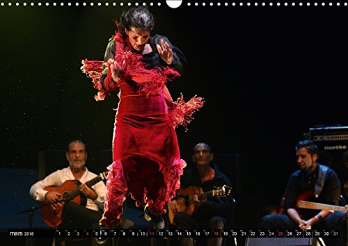 Fiesta Flamenco 2018: Spectacle Estival a Cannes; Le Flamenco Est a L'honneur (Calvendo Art)