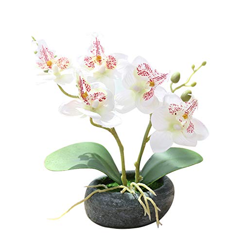 Flikool 2 Tallos Orquídeas Artificiales de Seda con Jarrón Bonsai de Phalaenopsis Mariposa Flores Artificial en Maceta Plantas Artificiales para Balcón Hogar Oficina Mesa Decoración - Blanco