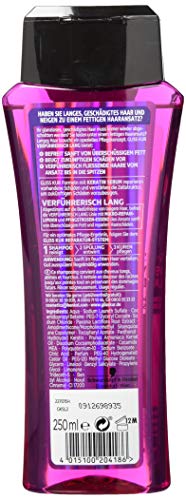 Gliss Kur Champú verführer isch largo, 3 Pack (3 x 250 ml)