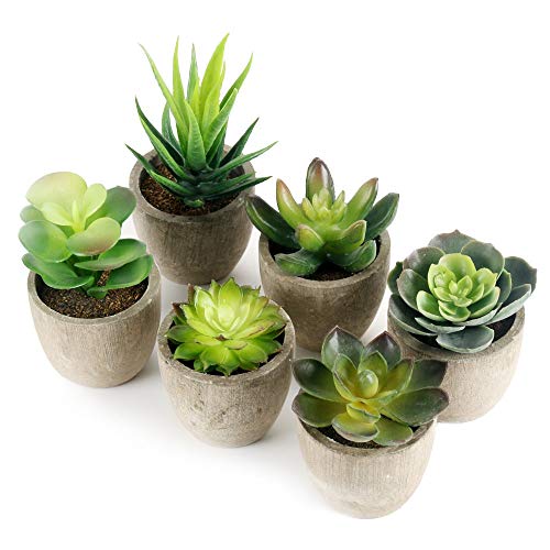 GoMaihe Plantas Suculentas Artificiales, 6 Piezas, Planta Artificial Decorativa, Adecuado para El Hogar Oficina Decoración Jardín Baño Cocina Balcón Planta Falsa Decorativas