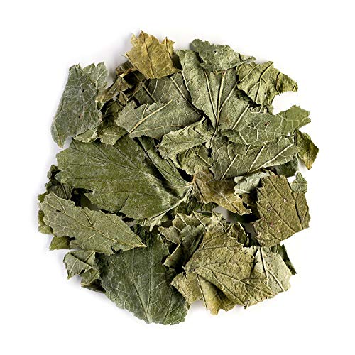 Grosella negra orgánica infusión hojas - Ideal con postres - Ribes nigrum - Recién recolectada del grosellero 50g