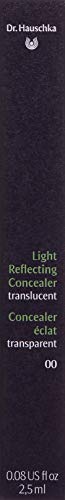 Hauschka Dr.Hauschka Light Reflecting Concealer 00 Translucent 2,5 Ml 21 g