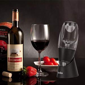 hotder Wine Aireador de Vino Tinto con Base para Vino Tinto, Negro.