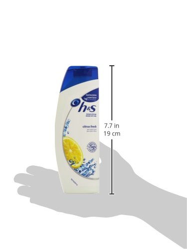 h&s - Champú anticaspa para cabello graso - Citrus fresh - 270 ml