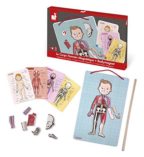 Janod- Imán Juego Educativo del Cuerpo Humano-Anatomía, Organos, Esqueleto, Músculos 76 Piezas Magnéticas-A Partir de 7 años-12 Lenguas (J05491)