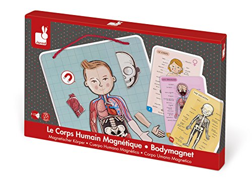 Janod- Imán Juego Educativo del Cuerpo Humano-Anatomía, Organos, Esqueleto, Músculos 76 Piezas Magnéticas-A Partir de 7 años-12 Lenguas (J05491)