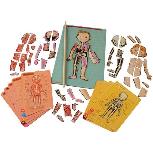Janod- Imán Juego Educativo del Cuerpo Humano-Anatomía, Organos, Esqueleto, Músculos 76 Piezas Magnéticas-A Partir de 7 años-12 Lenguas (J05491)