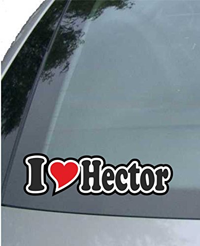 JINTORA - Etiqueta - Pegatina para el Coche I Love Heart - Amo con Corazon 15 cm - I Love Hector - Camión portátil con Ventana - Pegatina con el Nombre de la Mujer niño Hombre