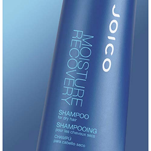Joico Moisture Recovery Shampoo Dry Hair 1000 g