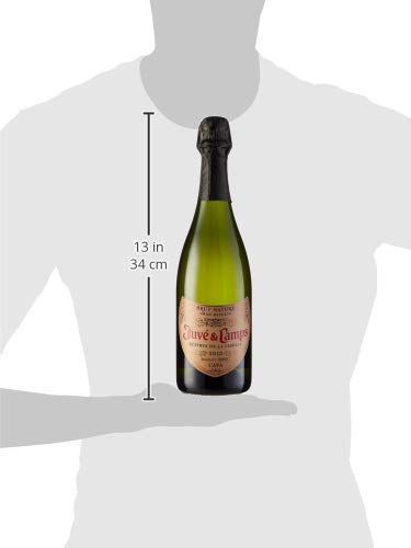 Juvé & Camps - Cava Reserva De La Familia Brut Nature Gran Reserva