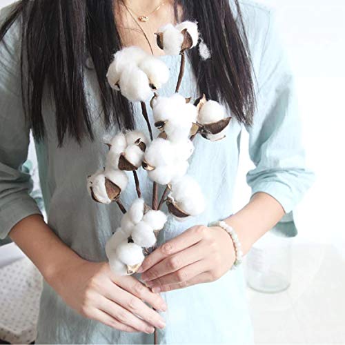 Kalolary - 6 tallos de algodón artificial de 53,3 cm, 4 cabezas de algodón con hojas de eucalipto para decoración del hogar, granja, boda, decoración floral