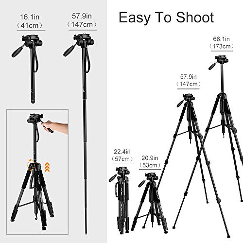 K&F Concept 70”/177cm Trípode Completo Liviano con Soporte para Movil y Monopie, Trípode de Aluminio con Cabezal de 3 Ejes para Smartphone Móviles Cámaras Canon Sony Nikon Olympus