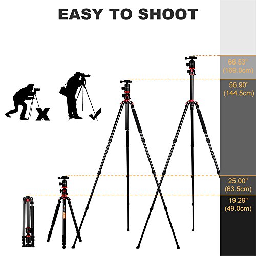 K&F Concept Trípode Profesional TM2534T Trípode Extensible Monopod 4 Secciones con 360° y 180° Columna Central Cabeza de Bola Placa Rápida Liberazación para Cámara DSLR Canon Nikon Sony GoPro