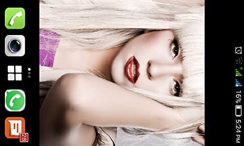 Lady Gaga Wallpapers