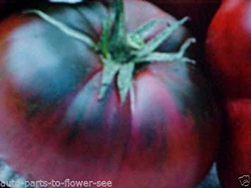 LARGE BLACK RUSSIAN TOMATO SEEDS. KNOWN FOR EARTHY TOMATO FLAVOR