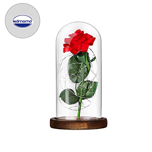 LEDMOMO Rosa de seda roja y luz LED con pétalos caídos en una cúpula de cristal sobre una base de madera Regalo para el día de San Valentín Boda de cumpleaños de aniversario (rosa única)