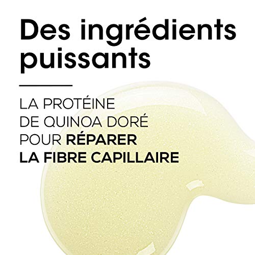 L'Oréal - Champú de serie profesional Absolut Repair, con Gold Quinoa y proteínas, 100 ml