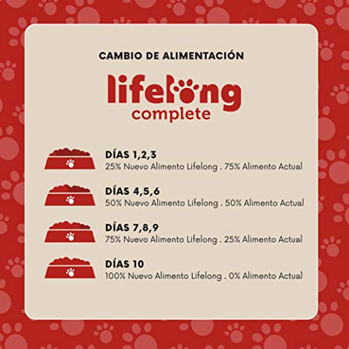 Marca Amazon - Lifelong Alimento completo para gatos adultos - Selección de carne en salsa, 2,4 kg (24 bolsitas x 100g)