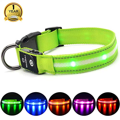 MASBRILL Collar LED Perro, Collar para Perro Luminoso Recargable y Impermeable, 3 Modos de Iluminación led y Tamaño Ajustable para Perros Pequeños Medianos Grandes(Verde L)