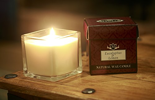 Mystix London | Vela perfumada de eucalipto y limón, tamaño grande, 29 cl