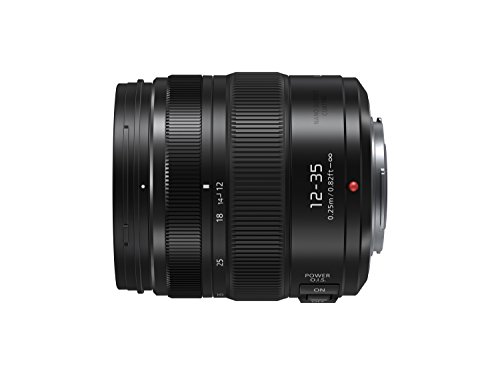 Panasonic LUMIX H-HSA12035 II - Objetivo Zoom estándar para cámaras de montura M4/3 (Focal 12-35 mm, F2.8, tamaño filtro 58 mm, lentes asféricas, resistente agua/polvo, POWER O.I.S), Negro