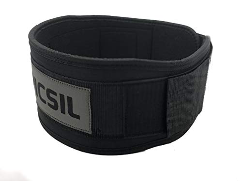 PicSil Cinturón Lumbar de Inmersión para Culturismo Musculación & Halterofilia Levantamiento de Peso en Cross Training Box Fitness Powerlifting Gym Hombres y Mujeres (Color Negro, Talla L)