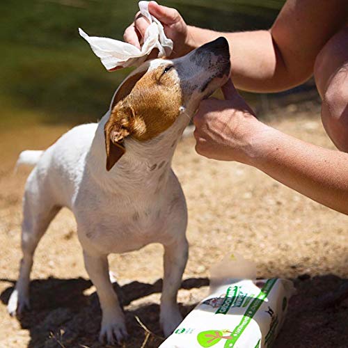 Pogi's Grooming Wipes - Toallitas húmedas - 400 toallitas desodorantes para Perros - No perfumadas, Naturales, Extra Grandes, biodegradables