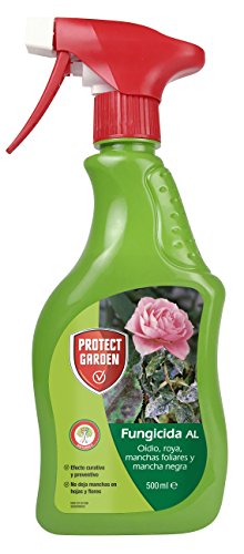 PROTECT GARDEN 280897863 Fungicida Sistémico Al de Amplio Espectro, Efecto Curativo Y Preventivo, 500Ml, Verde, 10 X 4 X 25 Cm