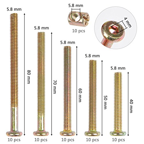 QLOUNI 100Pcs Perno Tuercas - Zinc Plateado M6 Hueca Hexagonal Tornillos Kit Barril Tornillos para Muebles Cunas Camas，Gabinete y Sillas 40mm / 50mm / 60mm / 70mm / 80mm