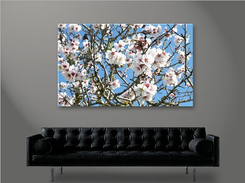 Quadro moderno Almendro en flor Mallorca Impresión sobre lienzo – Quadro X sillones salón cocina muebles oficina casa – Fotográfica Tamaño XXL