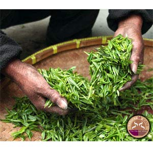 SABOREATE Y CAFE THE FLAVOUR SHOP Té Verde Sencha Lima Japonés En Hoja Hebra A Granel Infusión Natural Adelgazante 1 Kg