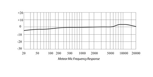Samson Meteor Mic, Micrófono para ordenador (USB, 20 Hz - 20 kHz, 25 mm), plateado (Chrome)