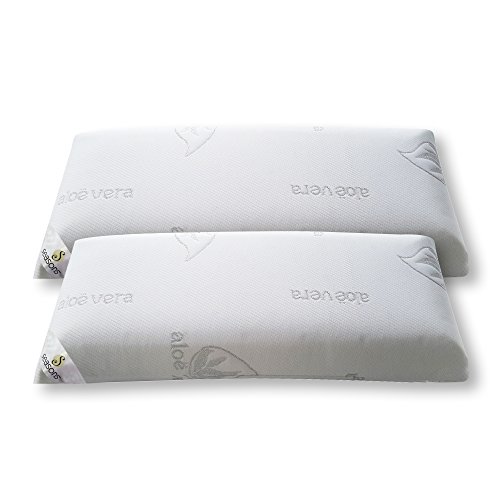 Seasons-Pack 2 almohadas viscoelasticas 75 cms, Antiácaros y Antibacterias , tejido Aloe vera hilo de plata.Doble funda