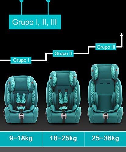 Silla de coche Star ibaby city fix HQ 668 - SPS + Isofix + Top Tether. Color Black/Grey.