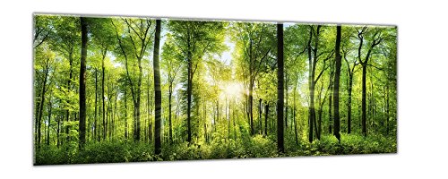 STYLER ex121 de Cristal, Cristal, Verde, 0.4 x 125 x 50 cm