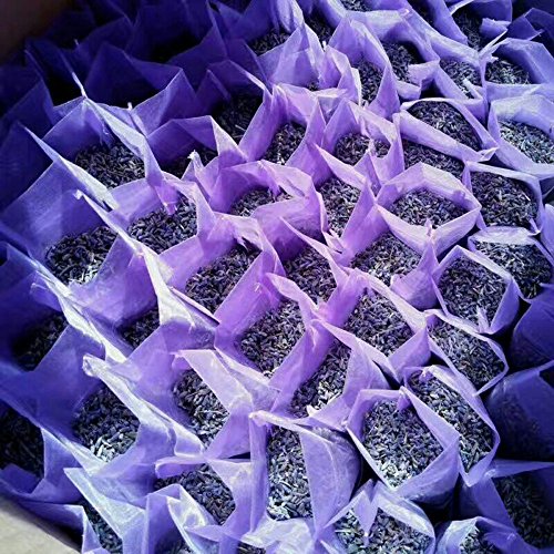 TooGet Bolsos de La Bolsita de La Lavanda Brotes de Lavanda Ultra Azules para La Fragancia Casera, Desodorizante Natural, Sobres del Desodorisante del Olor de La Lavanda Fresca - 6PCS